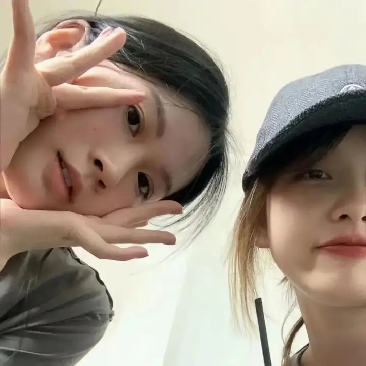 好莱坞狗日子